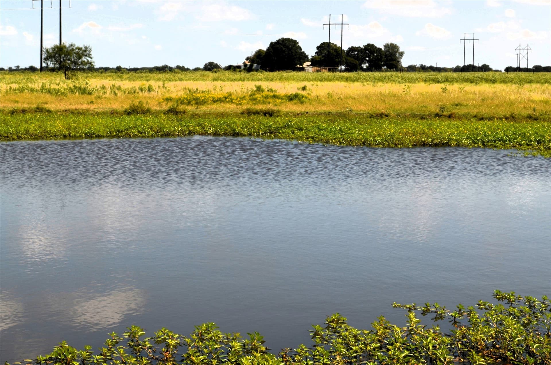 24 acres in Kaufman County - photo 12