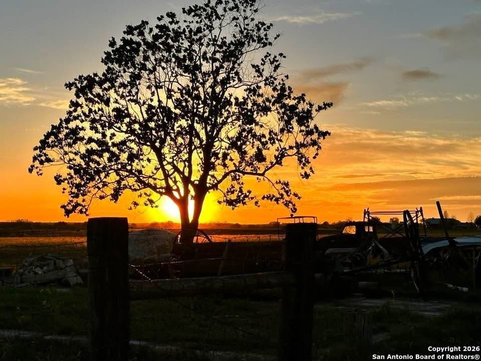 31.05 acres in Wilson County gallery image 3