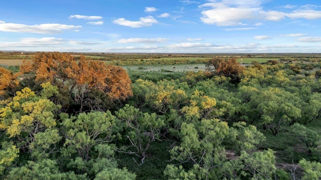 155 acres in Coleman County - photo 3