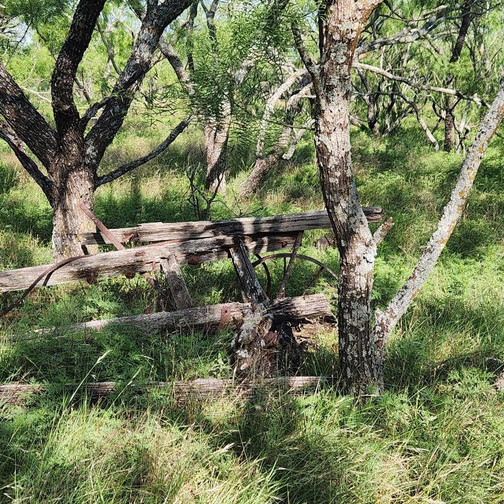 155 acres in Coleman County - photo 24