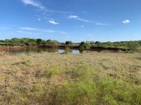 155 acres in Coleman County - photo 10