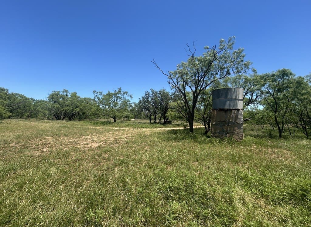 155 acres in Coleman County - photo 20