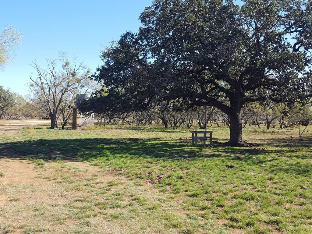 155 acres in Coleman County - photo 21