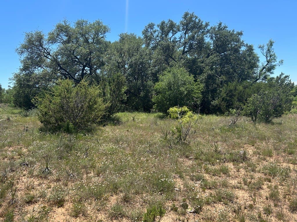 155 acres in Coleman County - photo 12