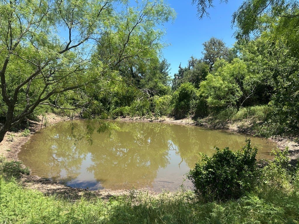 155 acres in Coleman County - photo 13