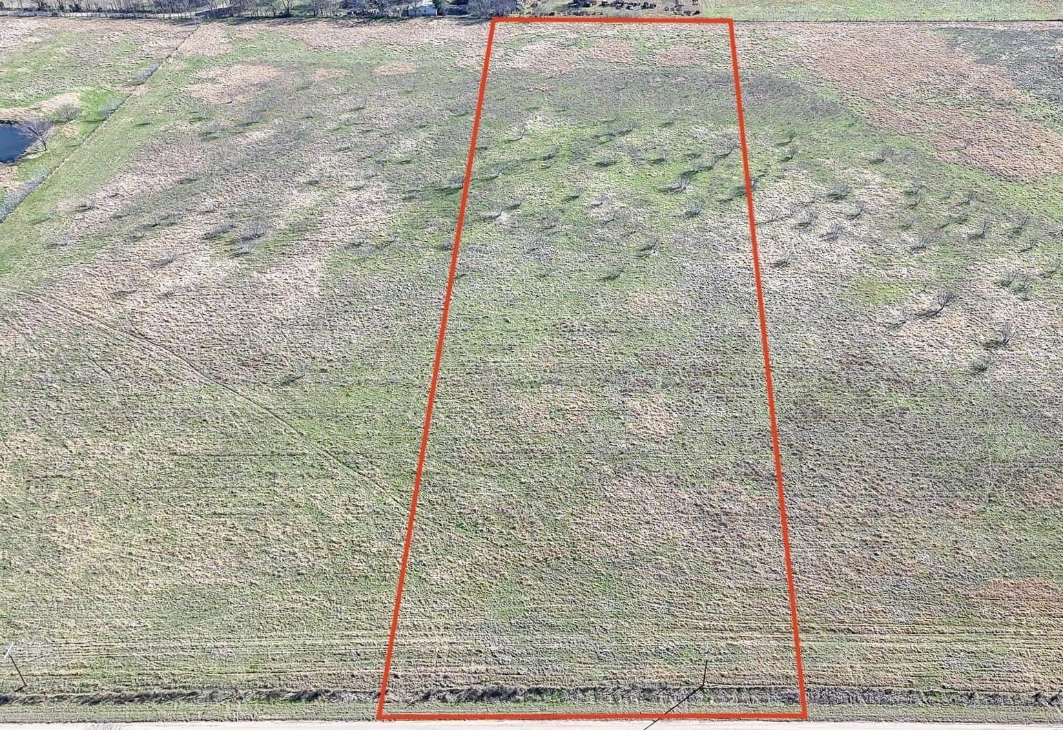 5 acres in Navarro County gallery image 3