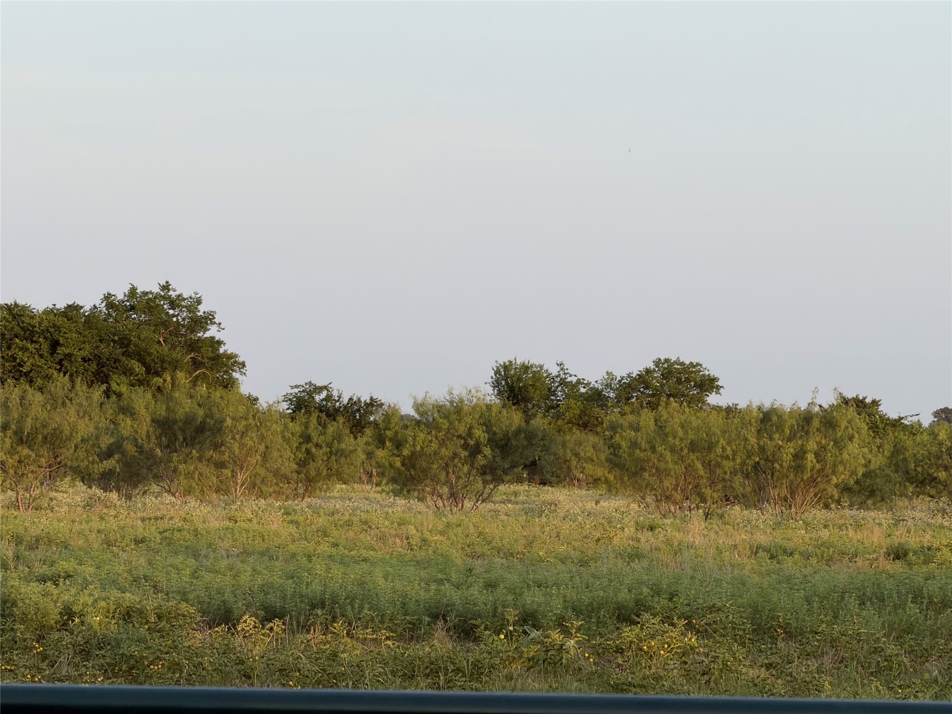 5 acres in Navarro County gallery image 2