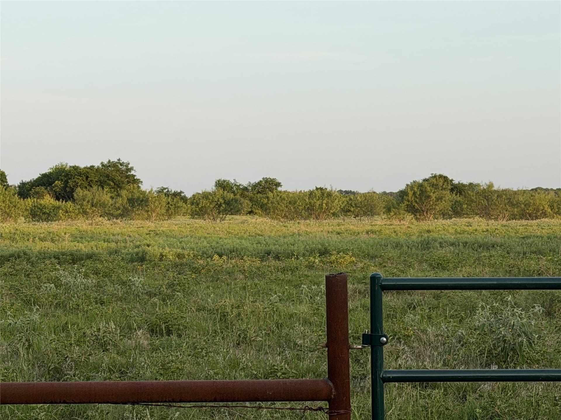 5 acres in Navarro County featured view