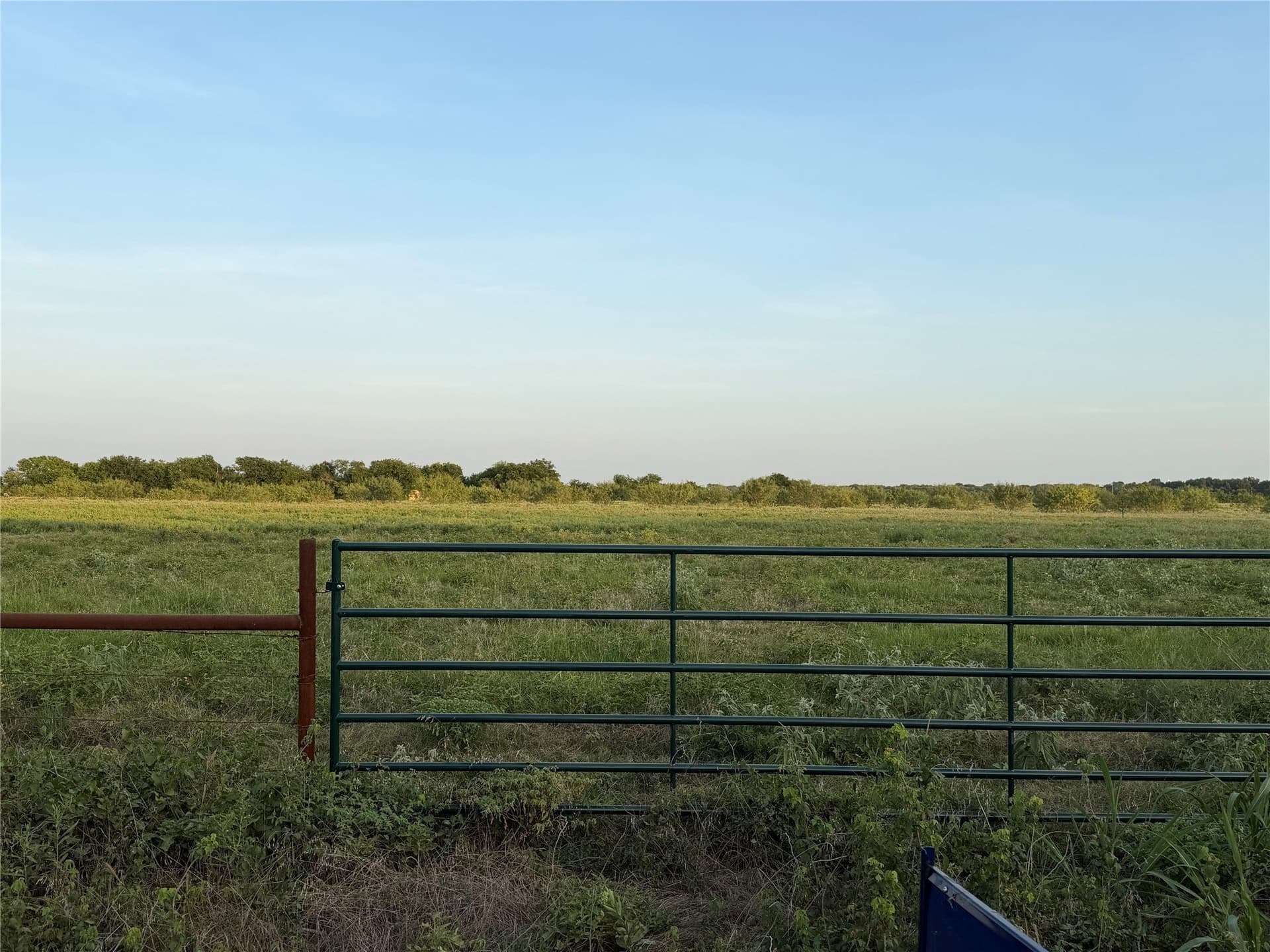 5 acres in Navarro County