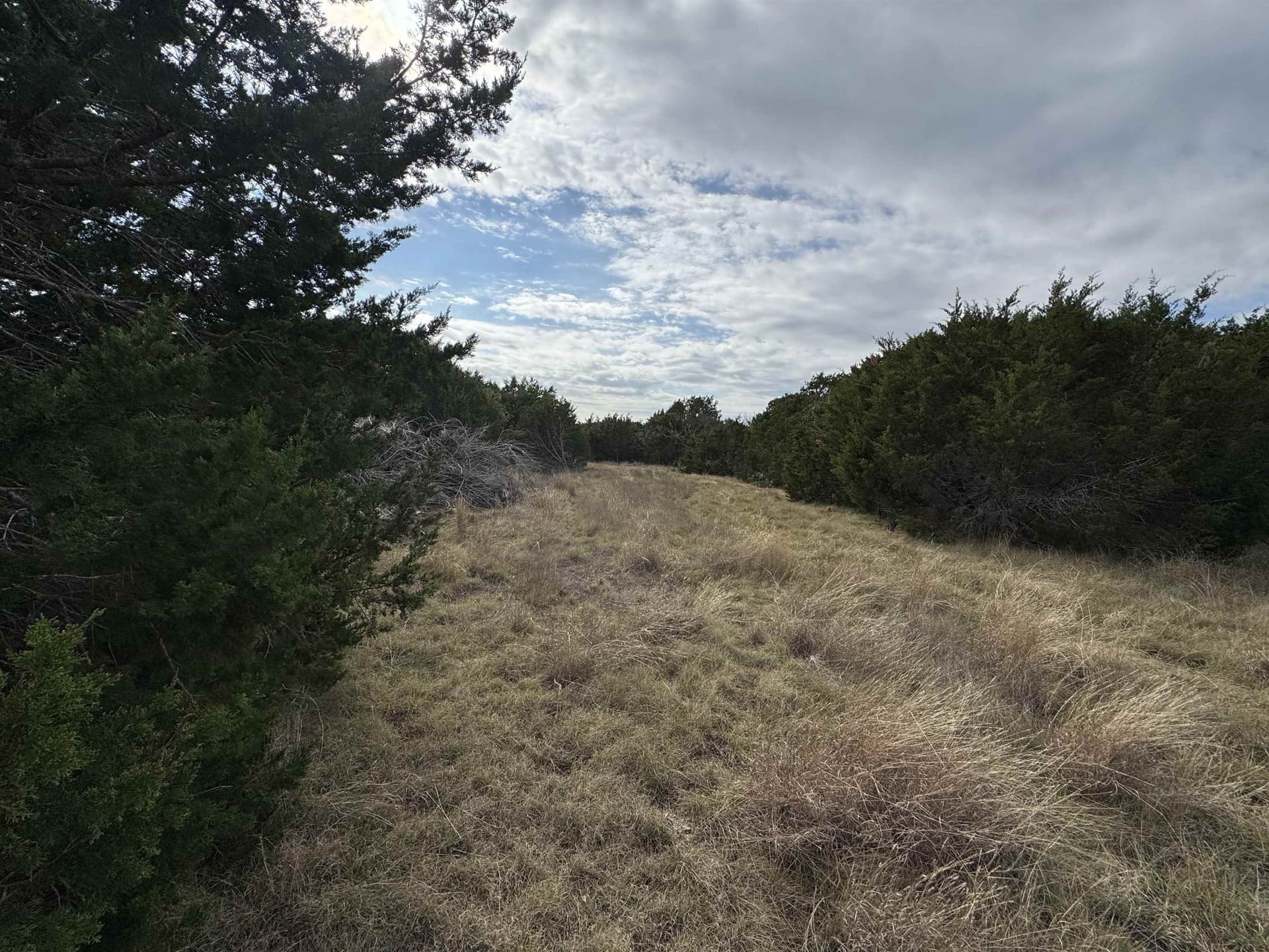 17.85 acres in Burnet County featured view