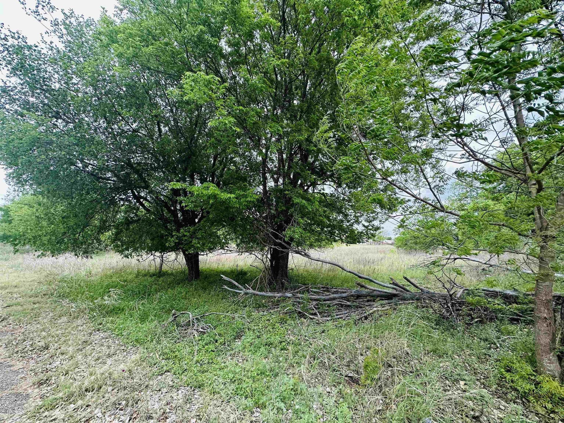 1.4 acres in Llano County gallery image 2