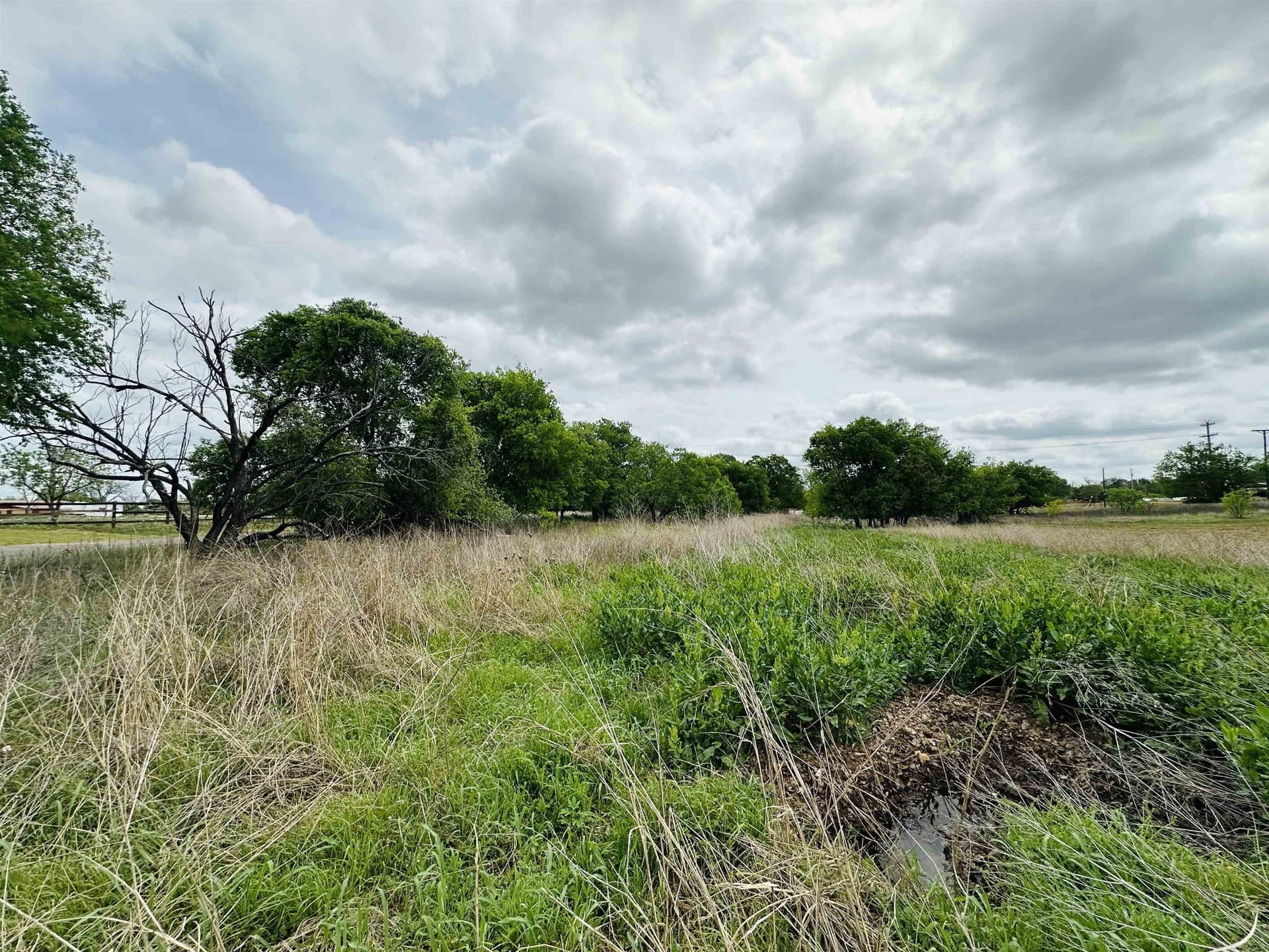 1.4 acres in Llano County gallery image 3