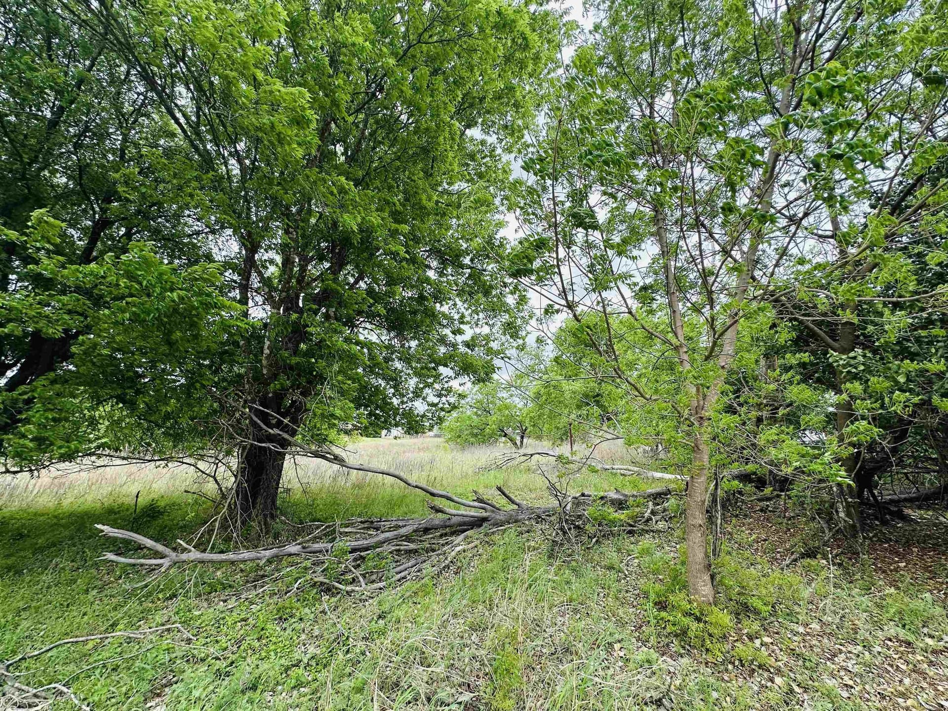 1.4 acres in Llano County