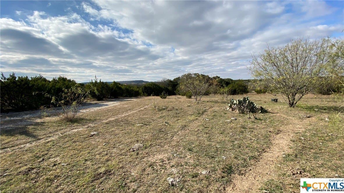 123.19 acres in Coryell County featured view
