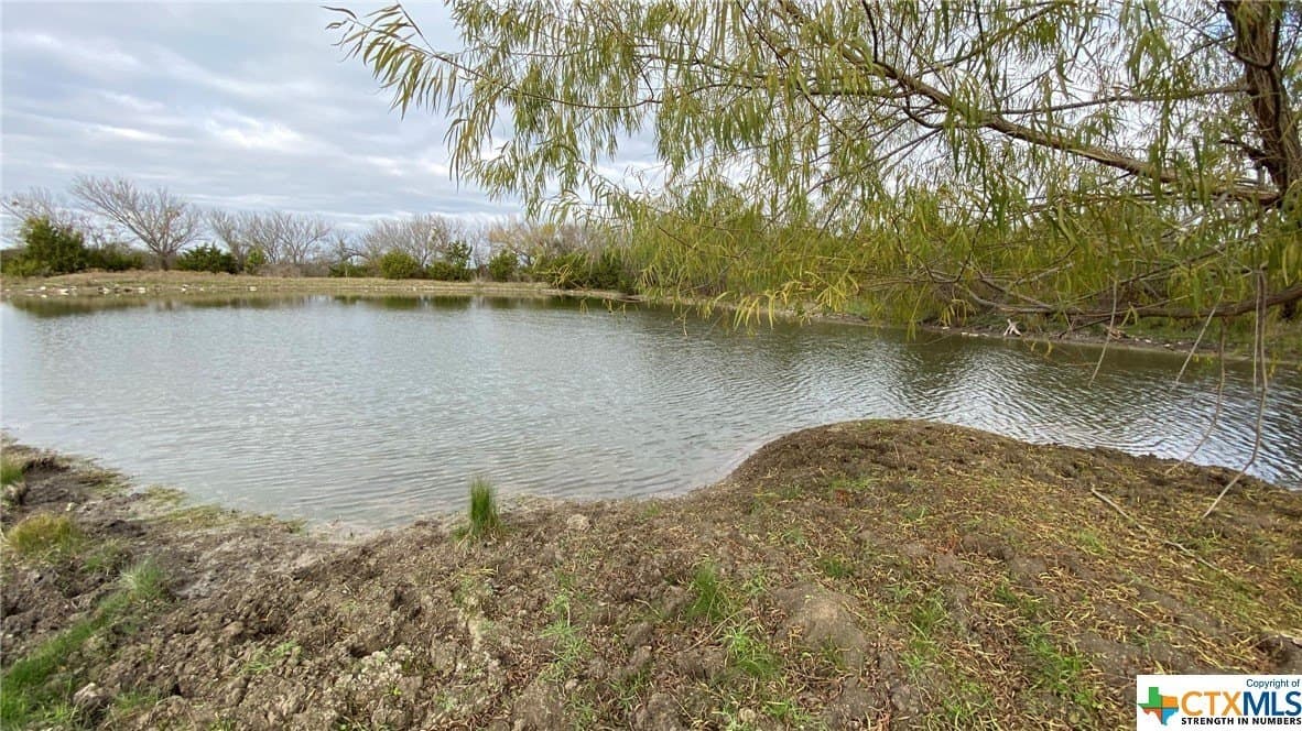 123.19 acres in Coryell County