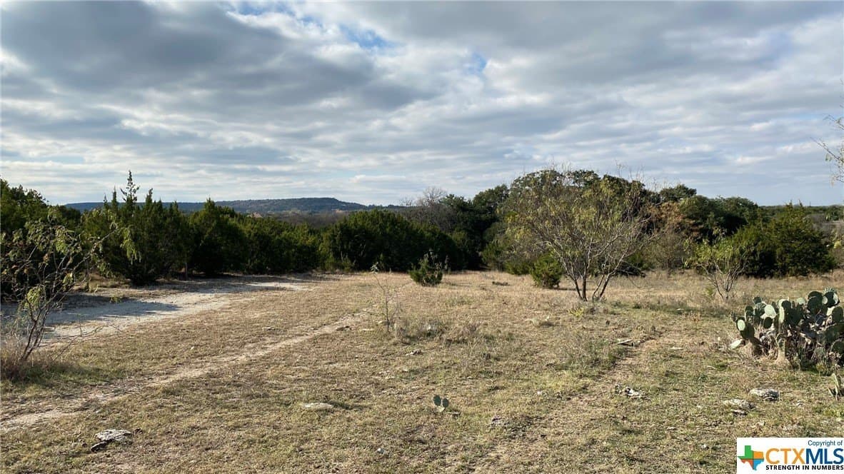 123.19 acres in Coryell County gallery image 4