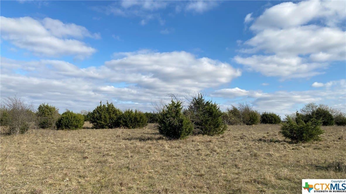 123.19 acres in Coryell County gallery image 3