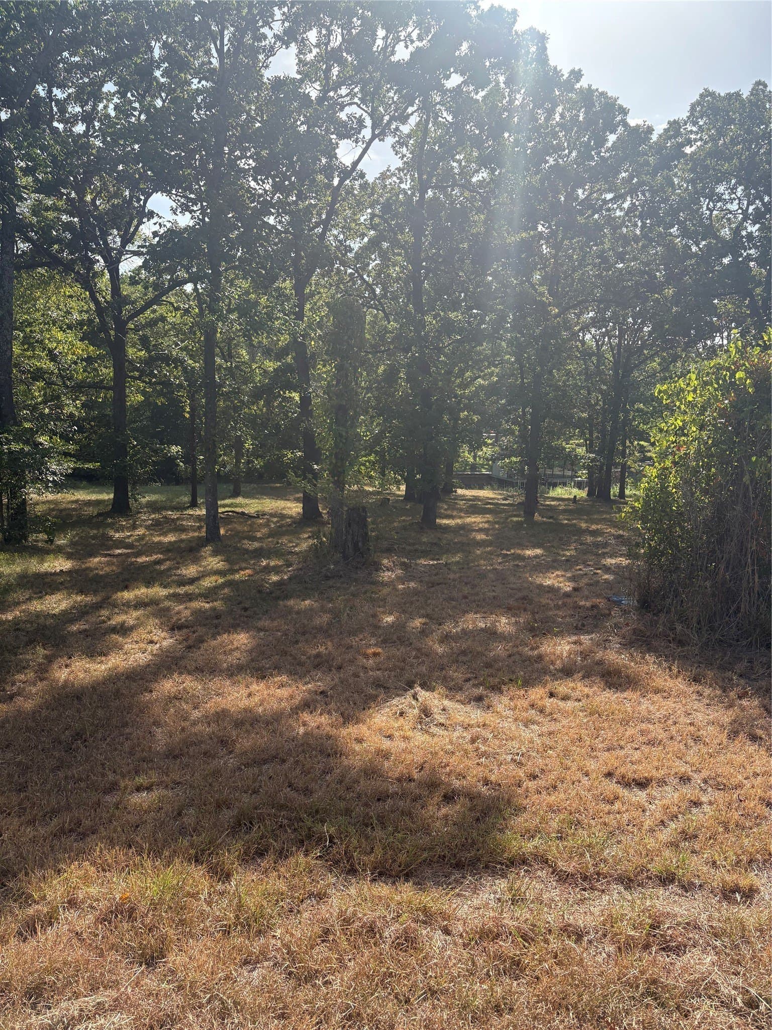 0.25 acres in Henderson County - photo 4