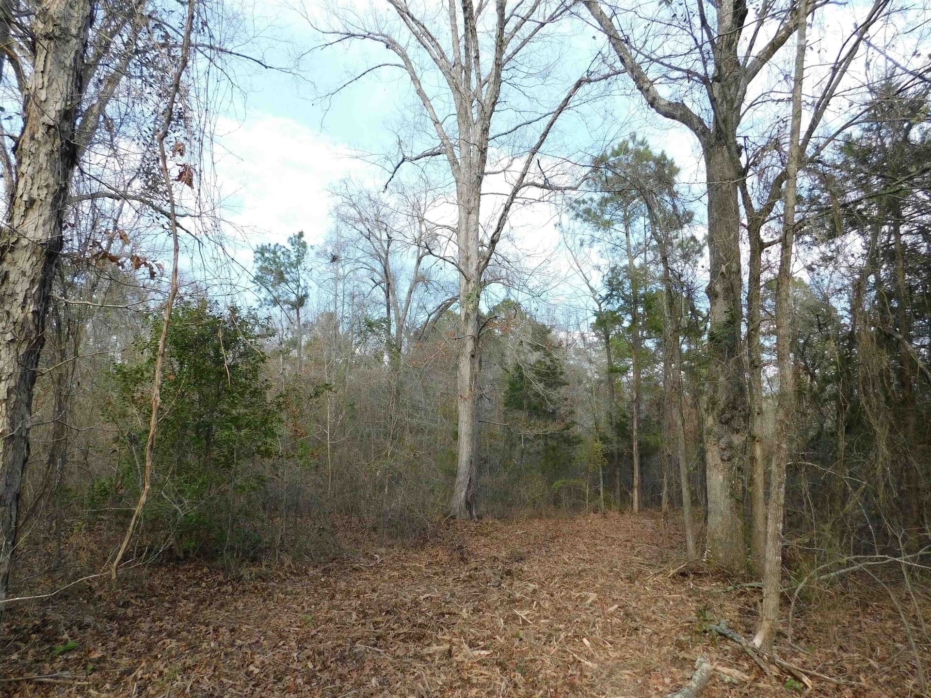 12.46 acres in Texas County - photo 2