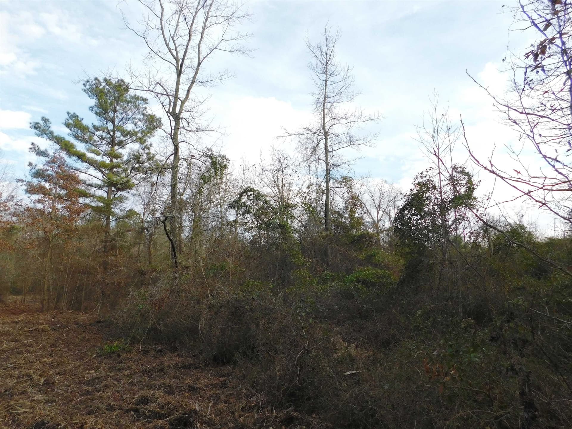 12.46 acres in Texas County - photo 5