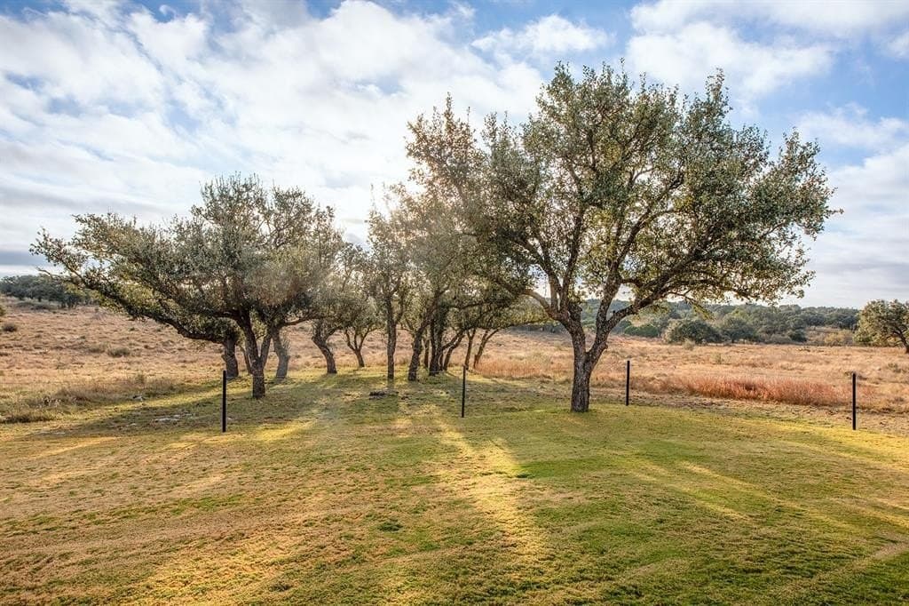 130 acres in McCulloch County gallery image 4