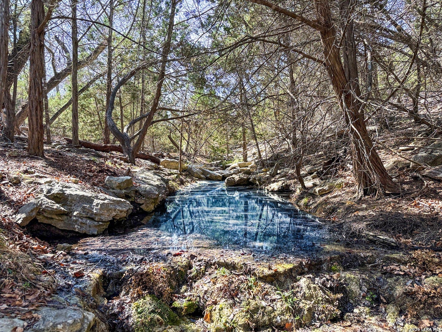 5 acres in Kerr County gallery image 2