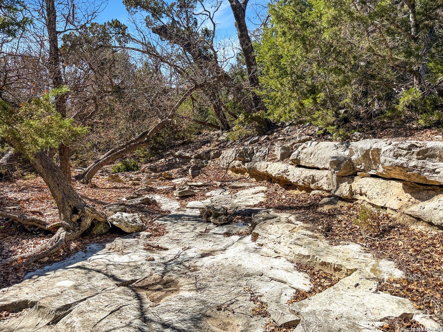 5 acres in Kerr County gallery image 3