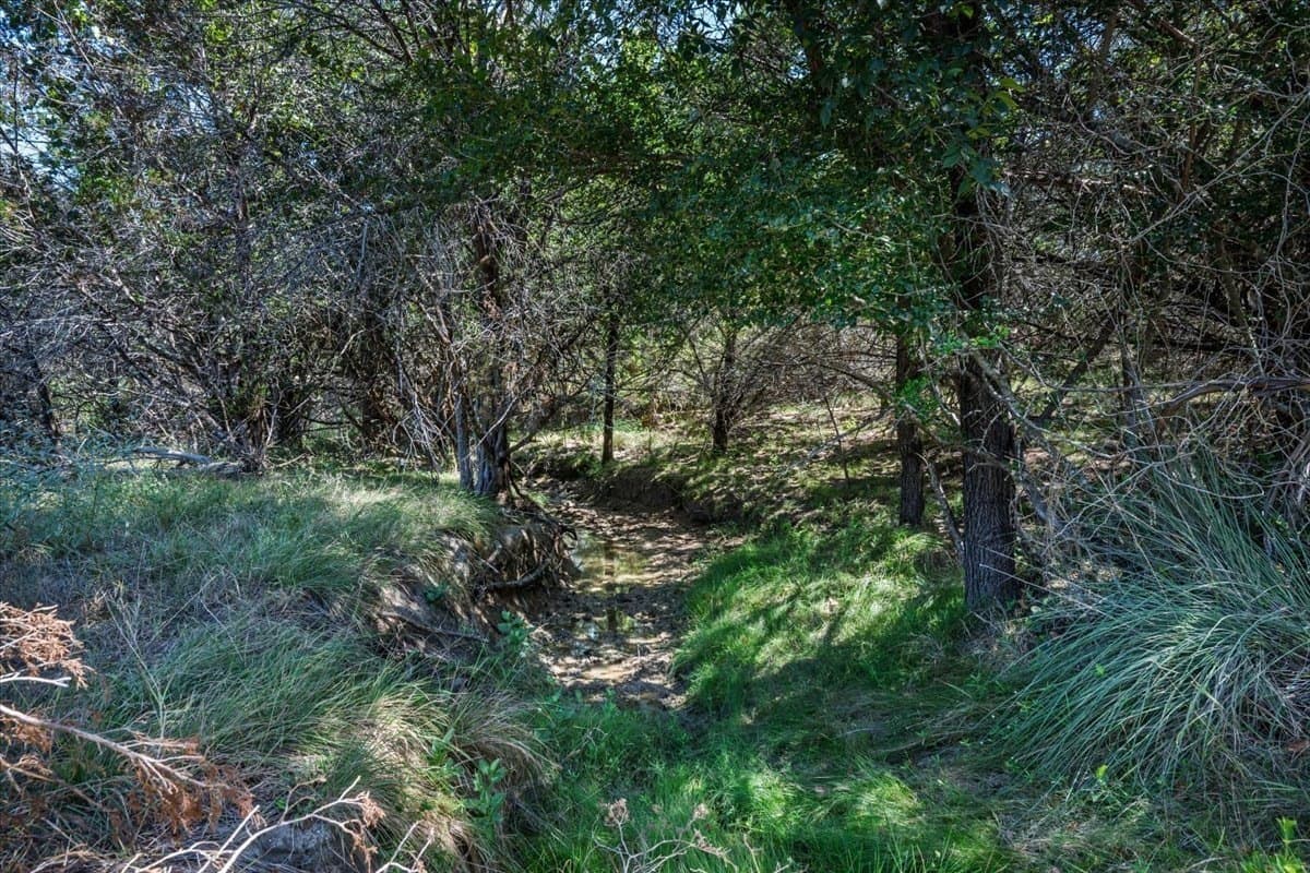 207 acres in Burnet County - photo 36
