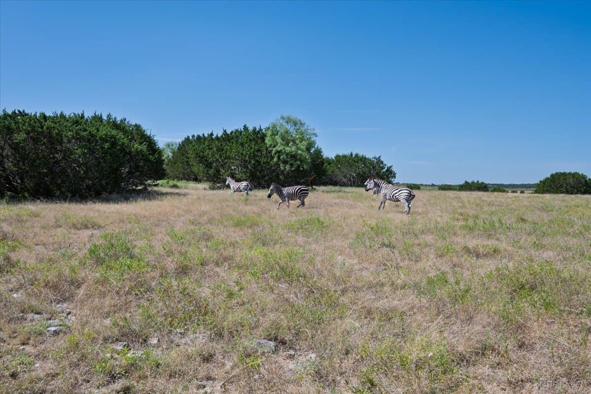 207 acres in Burnet County - photo 31
