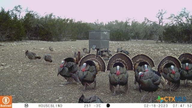 397.23 acres in Gillespie County featured view