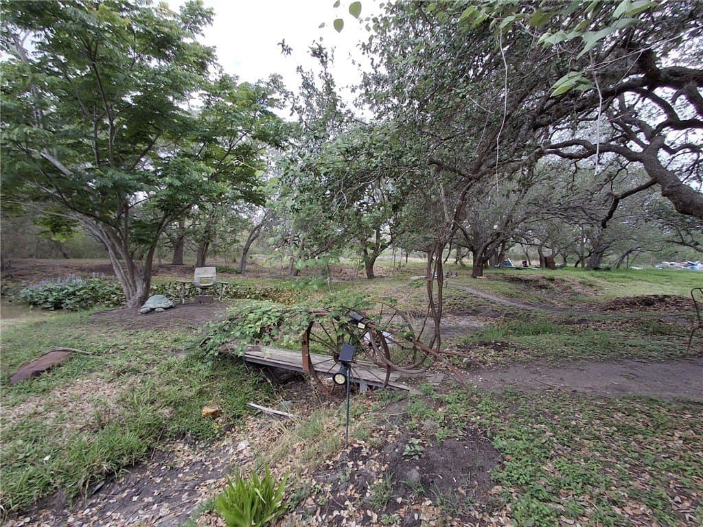 4.74 acres in Bee County gallery image 2