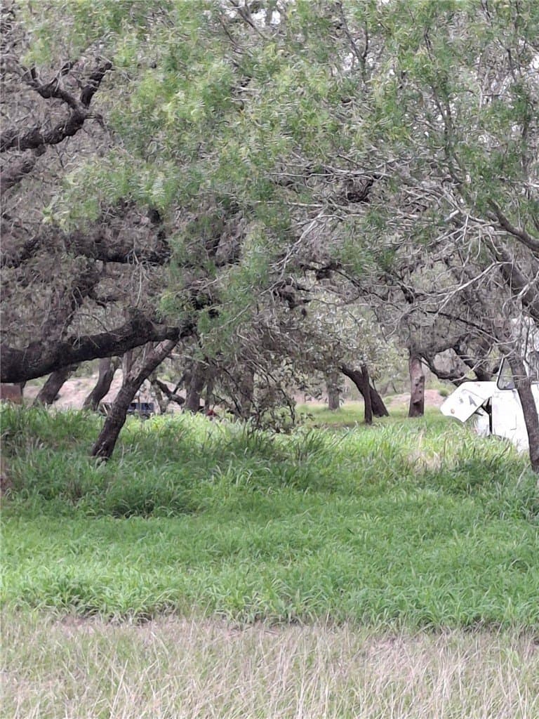 4.74 acres in Bee County gallery image 4