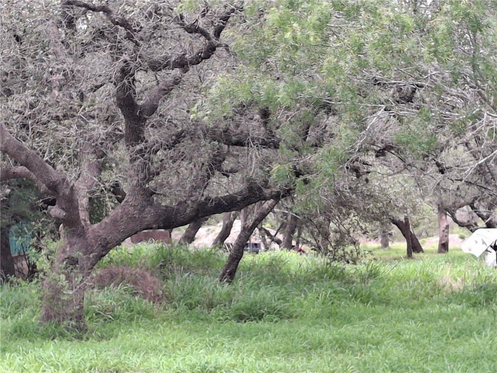 4.74 acres in Bee County