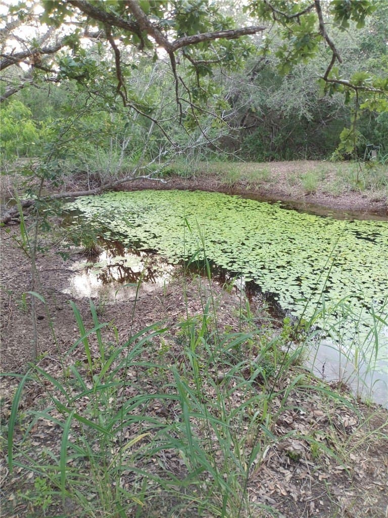 4.74 acres in Bee County gallery image 3