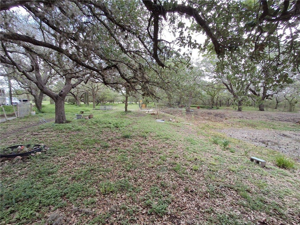 4.74 acres in Bee County featured view