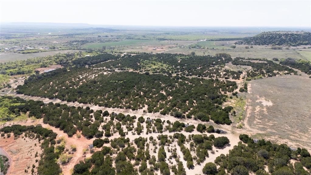 17.71 acres in Taylor County featured view