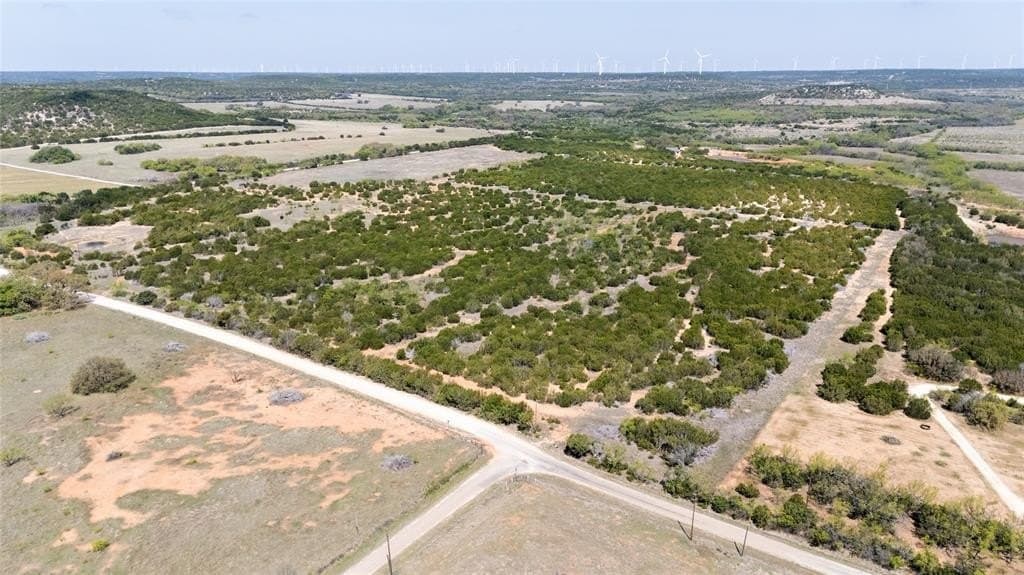 17.71 acres in Taylor County gallery image 3