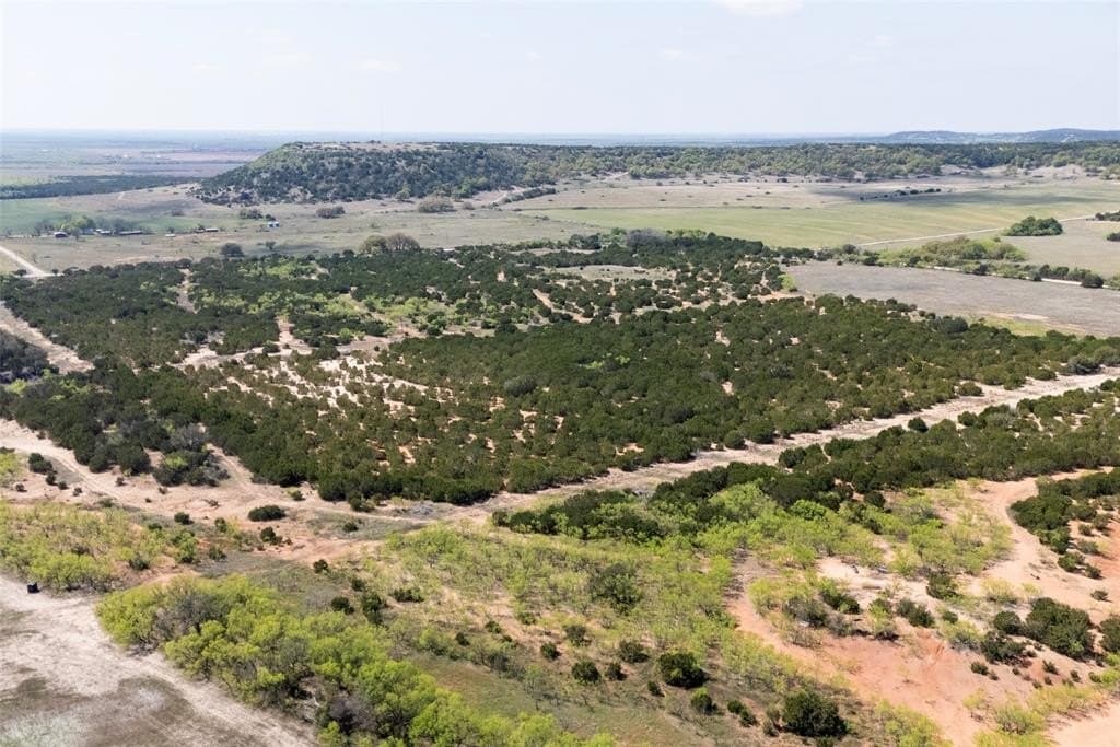 17.71 acres in Taylor County gallery image 4