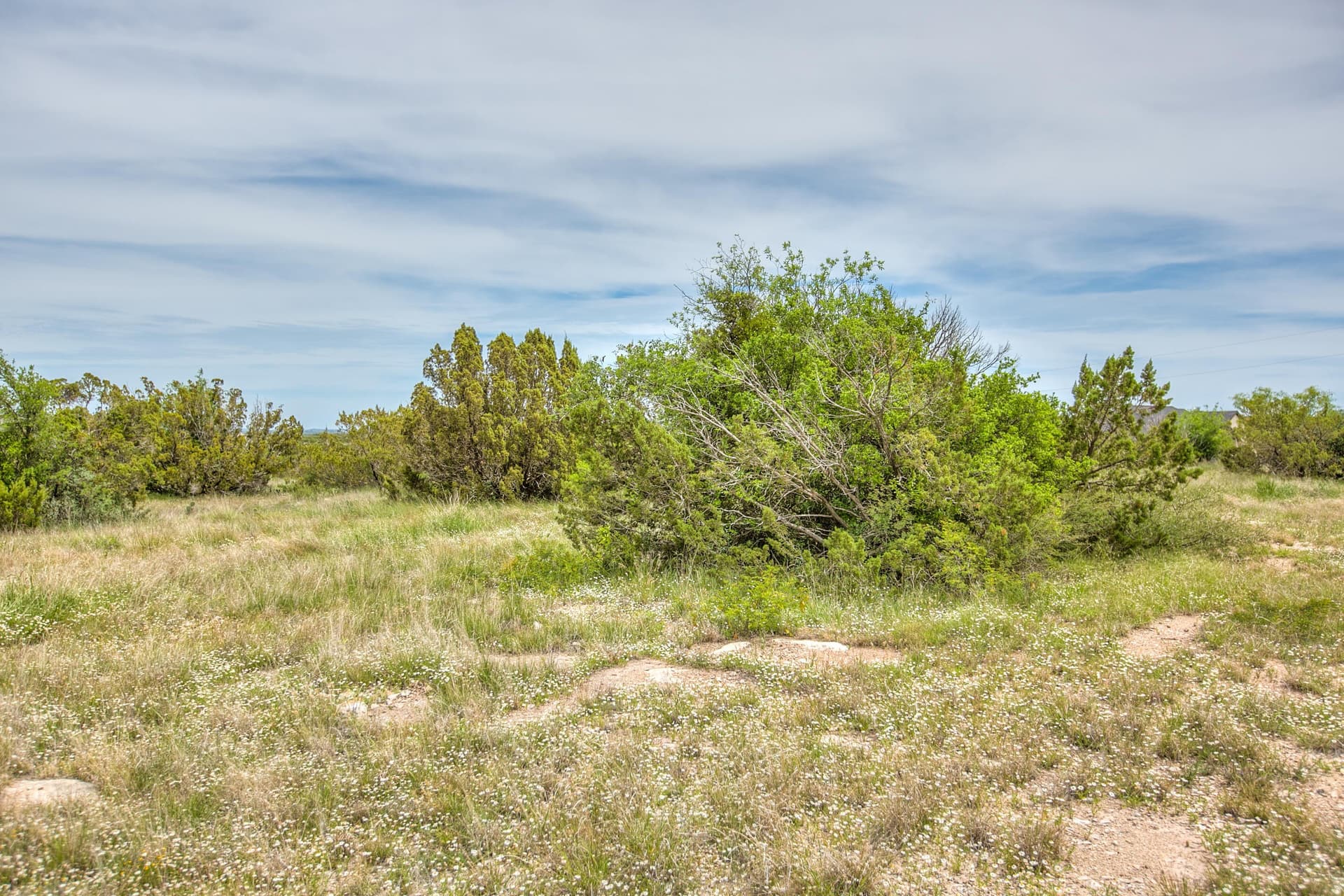 10 acres in Tom Green County - photo 34