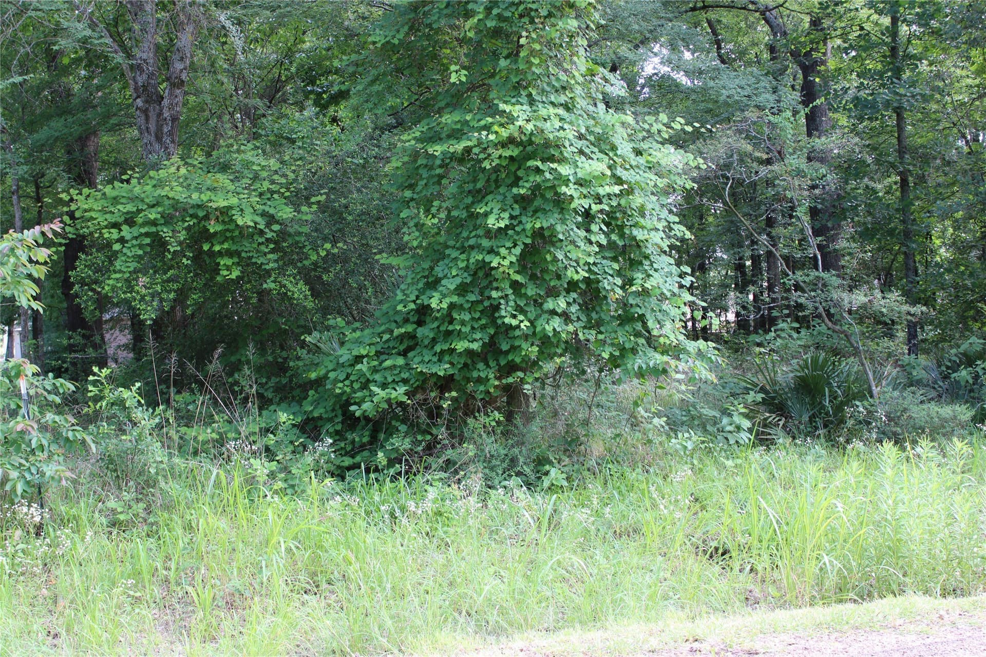 0.85 acres in Kaufman County - photo 11