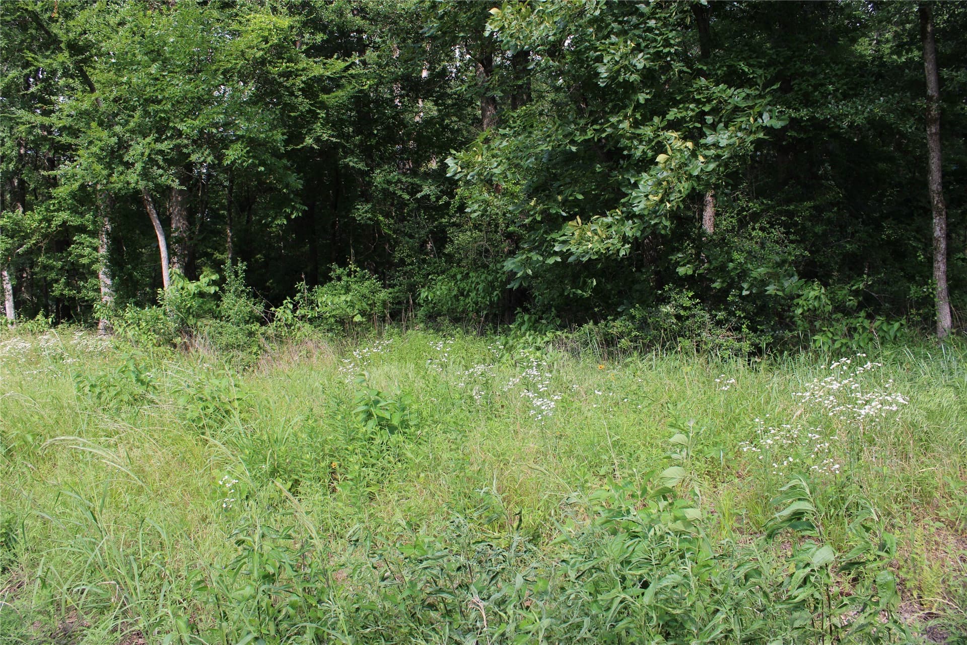0.85 acres in Kaufman County - photo 13