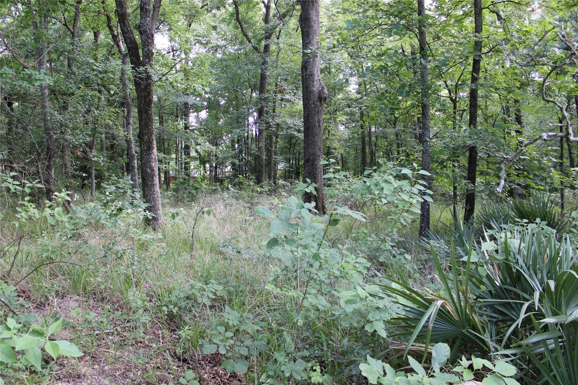 0.85 acres in Kaufman County - photo 12