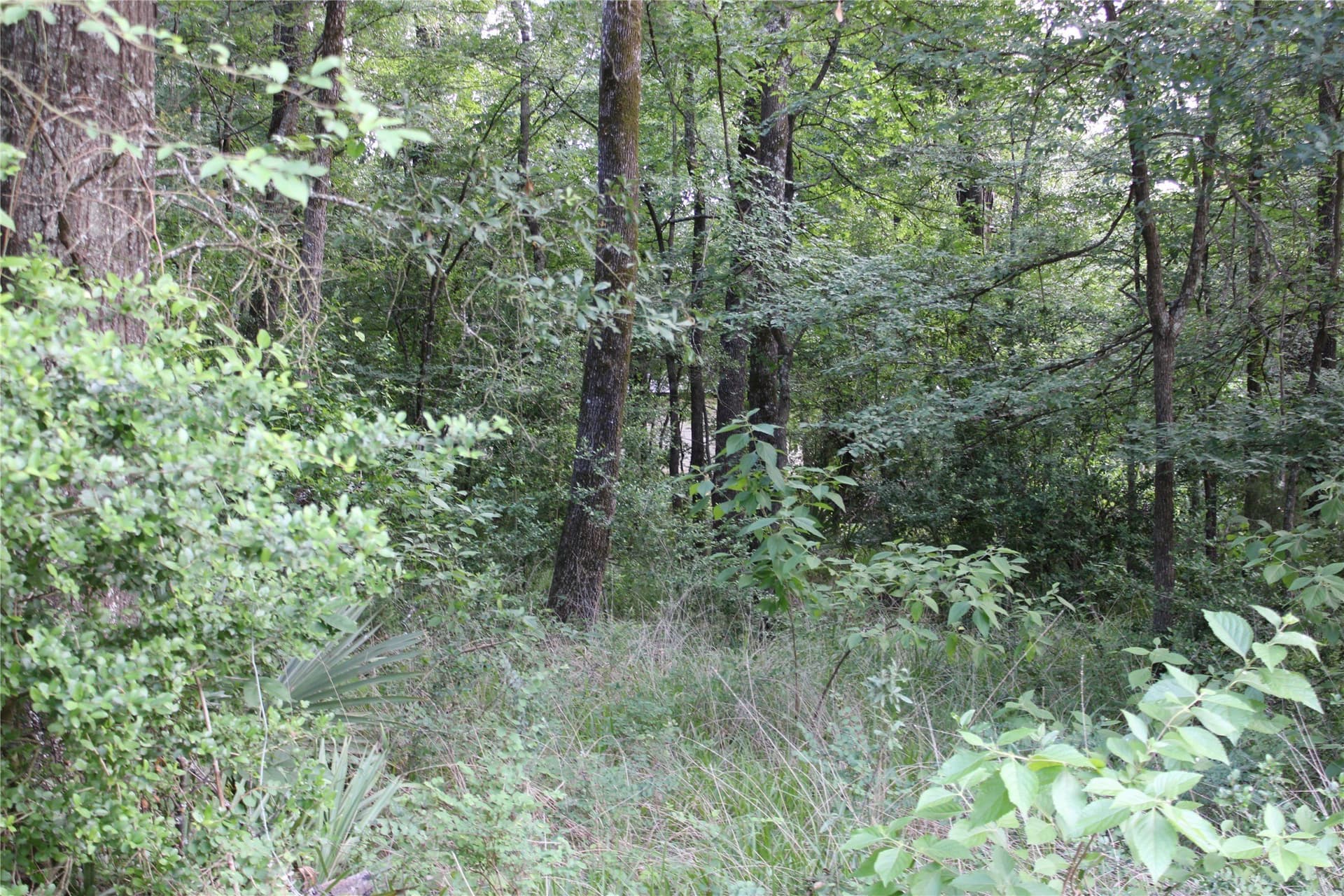 0.85 acres in Kaufman County - photo 7