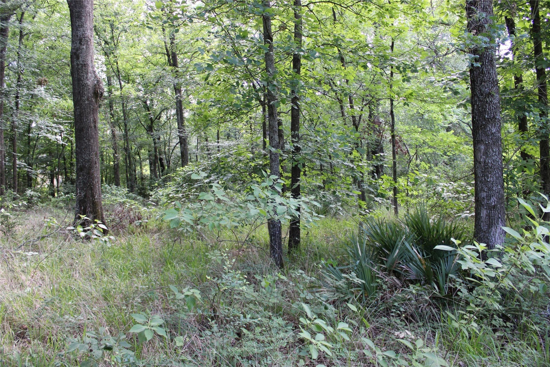 0.85 acres in Kaufman County - photo 6