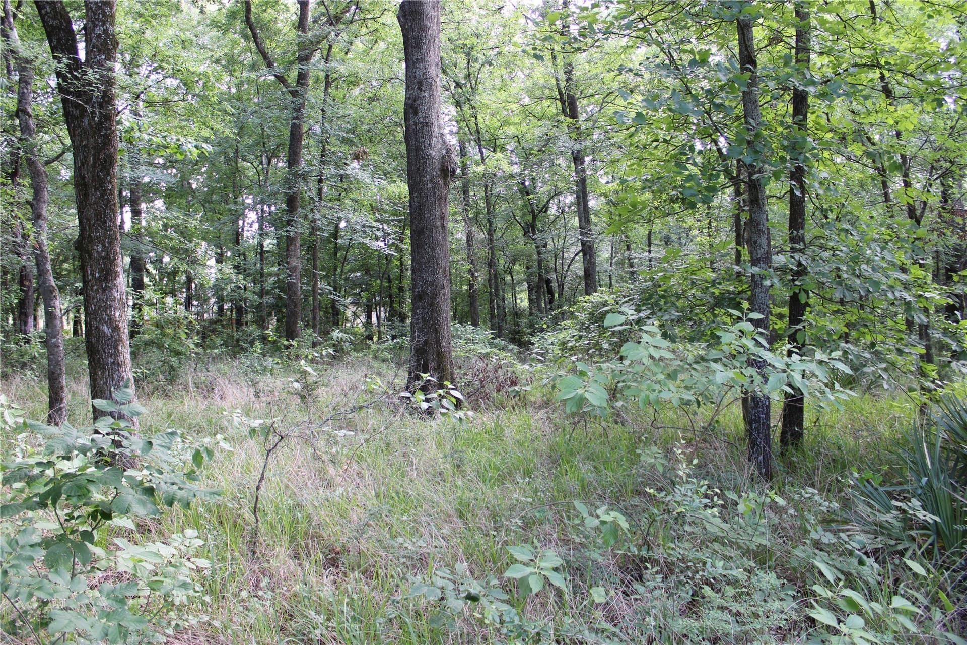 0.85 acres in Kaufman County - photo 8