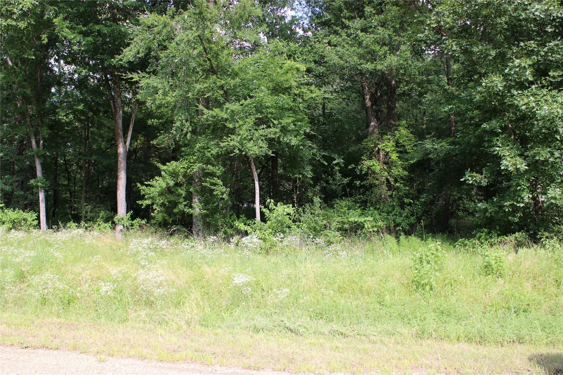 0.85 acres in Kaufman County - photo 5