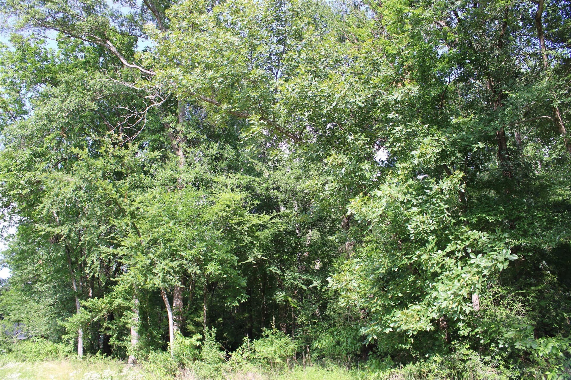 0.85 acres in Kaufman County - photo 14
