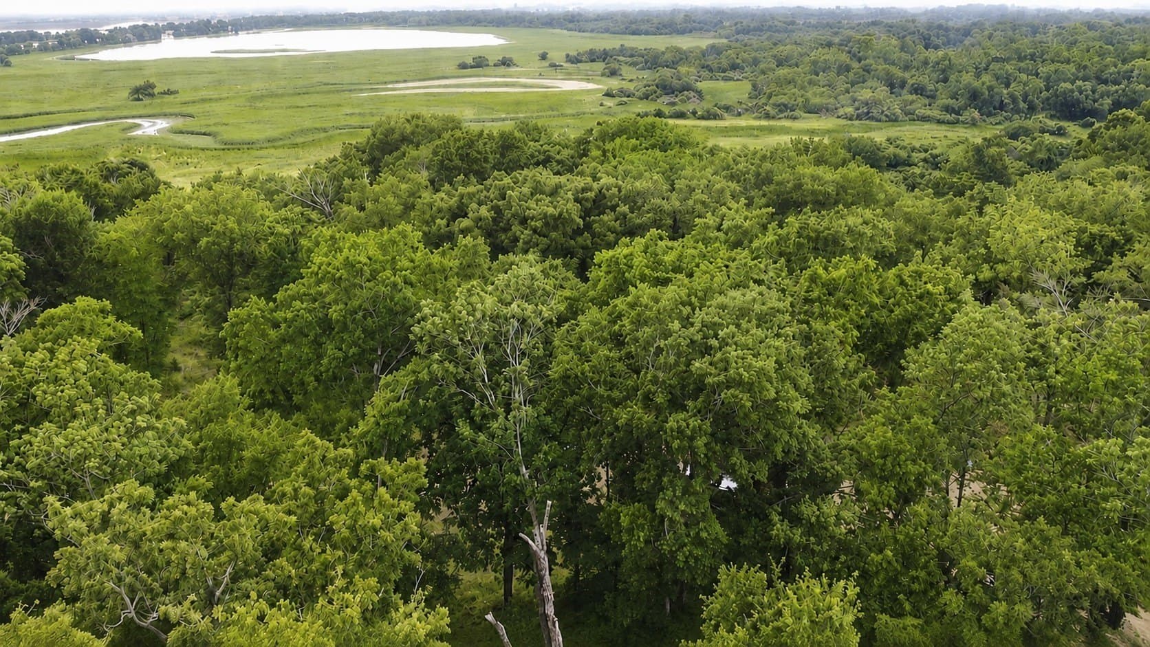 0.85 acres in Kaufman County - photo 2