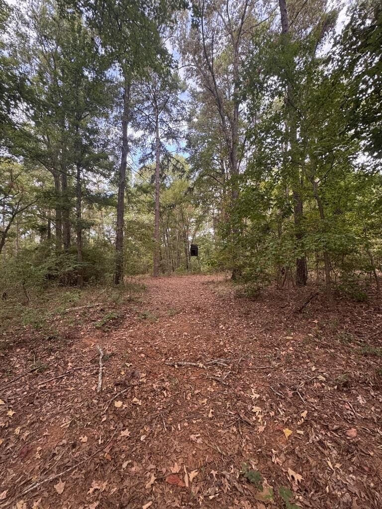 15.5 acres in ANDERSON County - photo 42