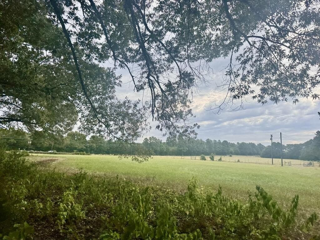 15.5 acres in ANDERSON County - photo 40